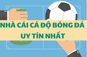 Trang cá độ bóng đá