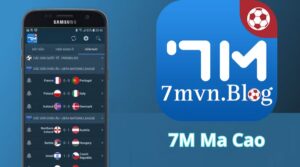 7m ma cao