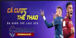 Tỷ Lệ Kèo
